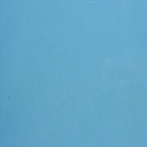 Meet your Posher, Aleahs